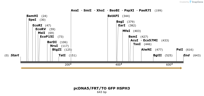 25259_map