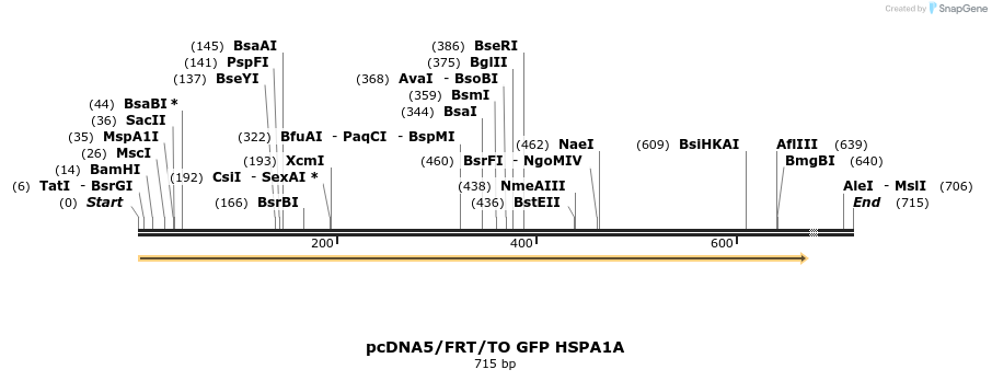 25260_map