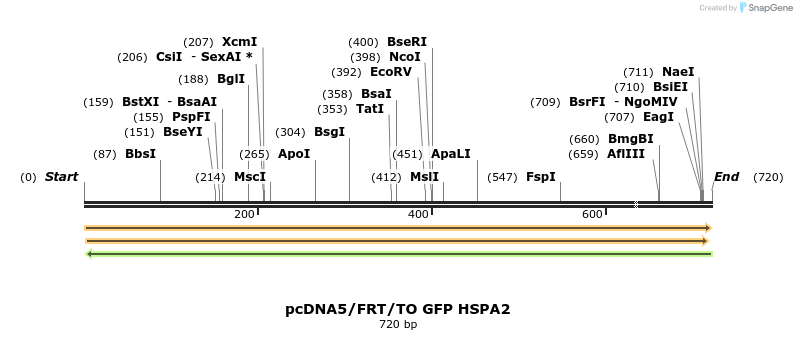 25262_map