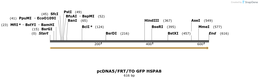 25264_map