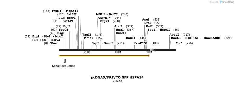 25265_map