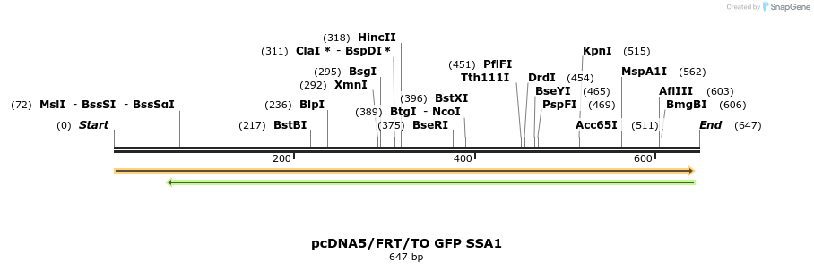 25266_map