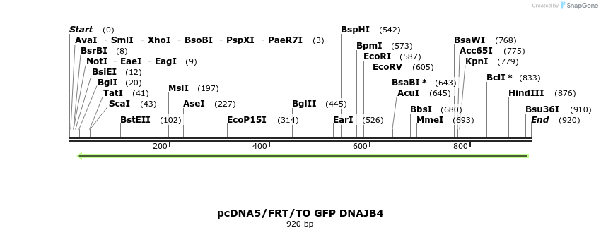25276_map