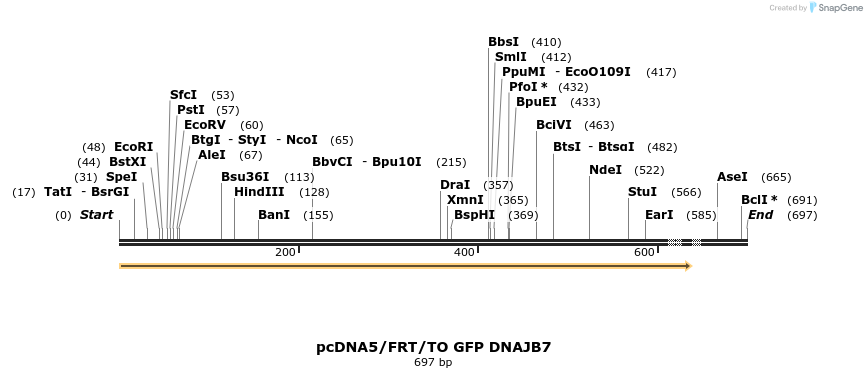 25280_map