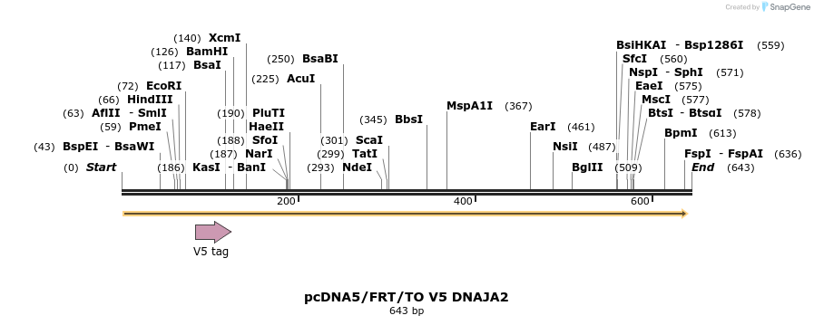 25296_map