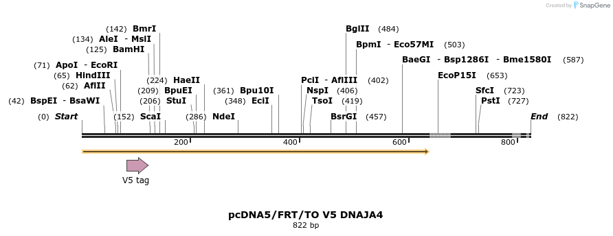 25298_map