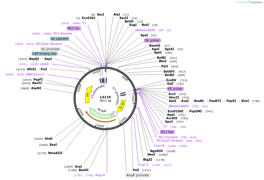 1643-plasmid-map-sequence-id-253