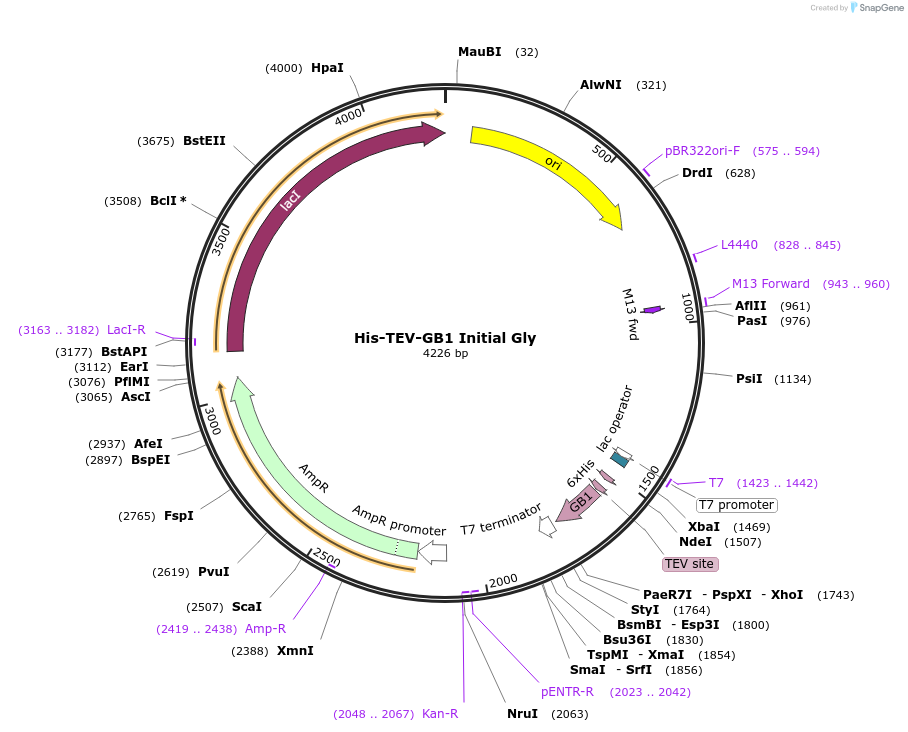 253006_map