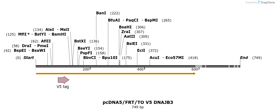 25302_map