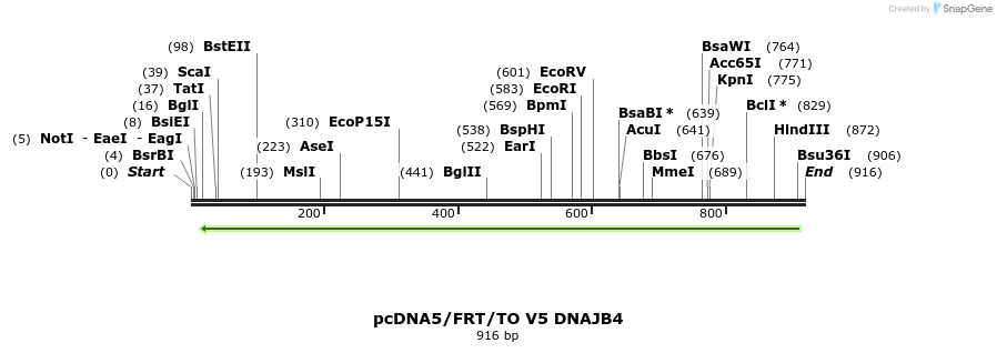 25303_map