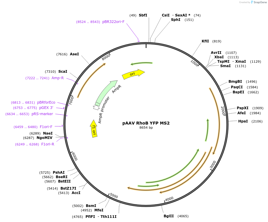 253037_map