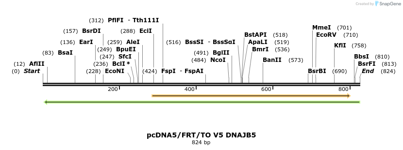 25304_map