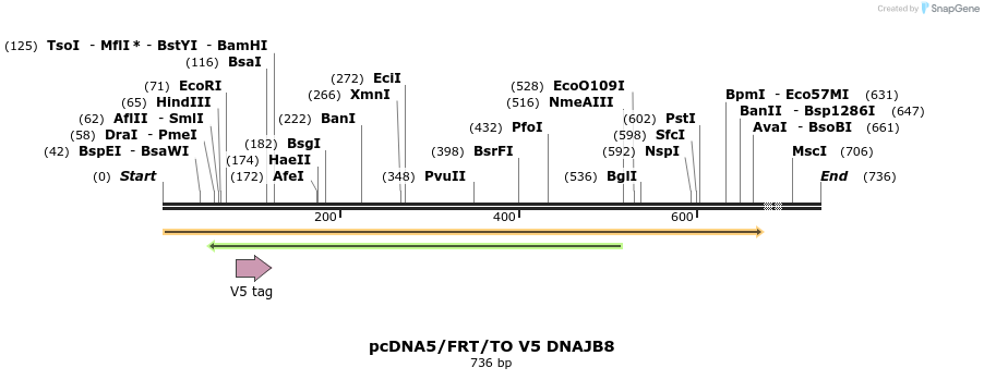 25308_map