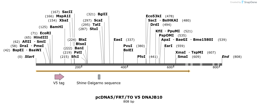 25310_map