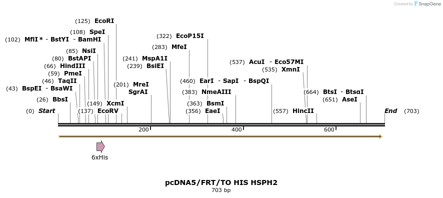 25312_map