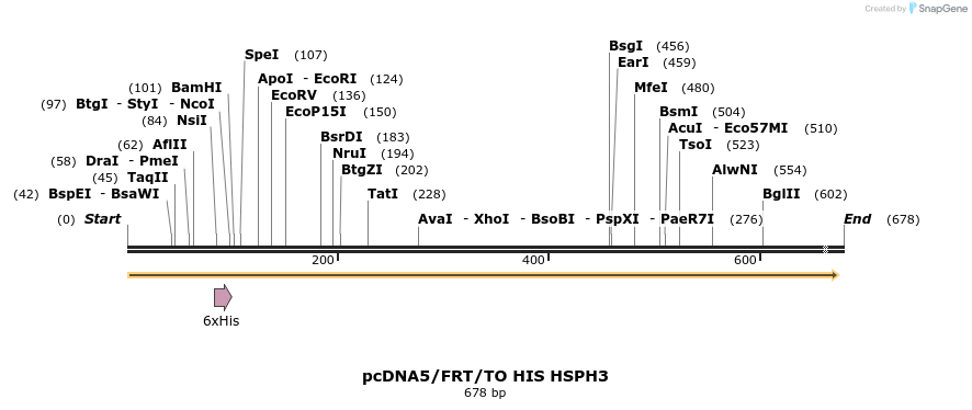 25313_map