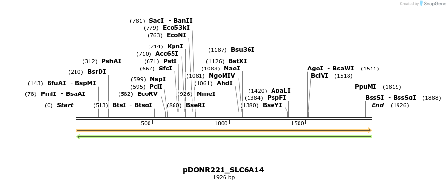 253130_map