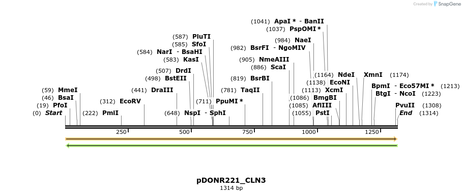 253136_map