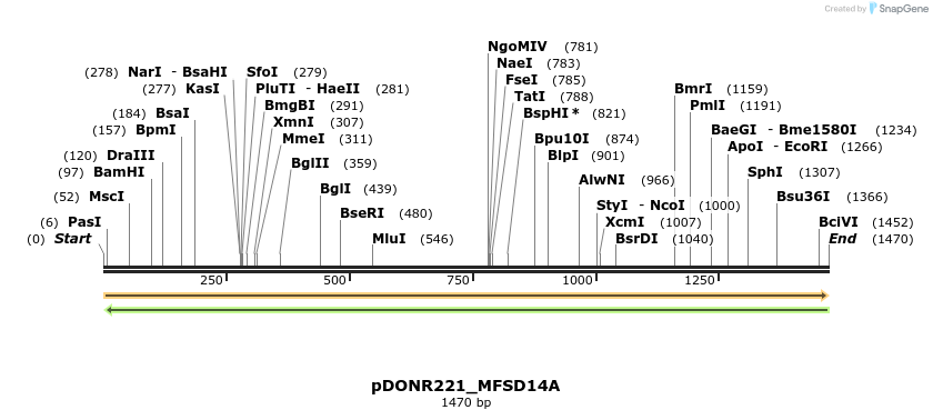 253138_map