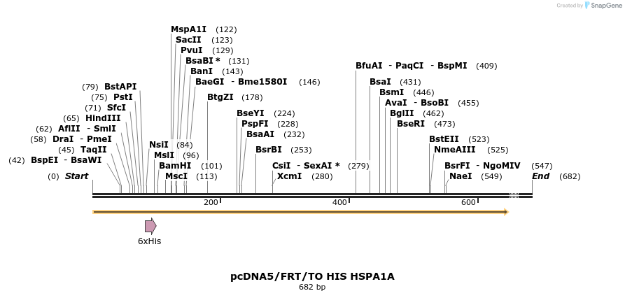 25314_map