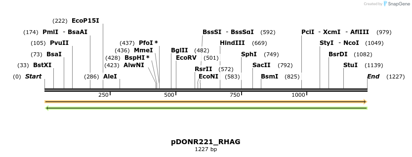 253142_map