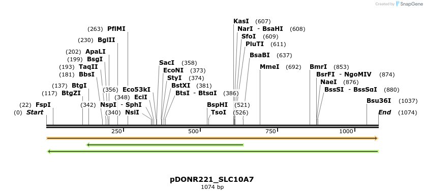 253144_map