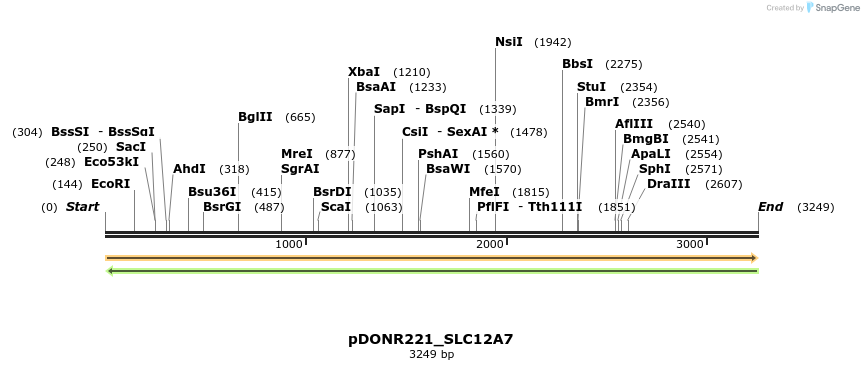 253146_map