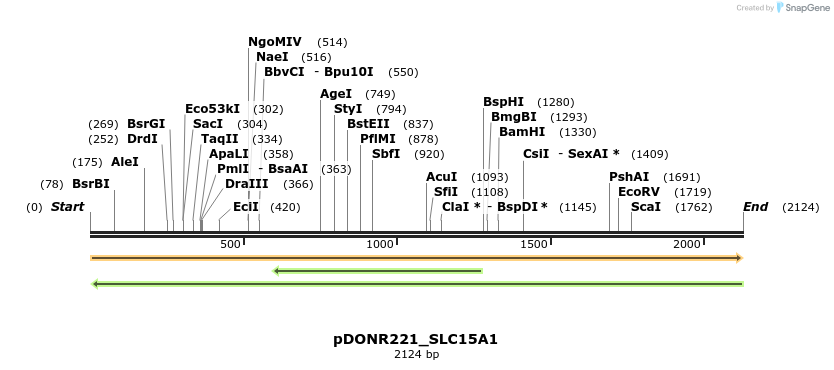 253148_map