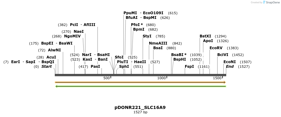 253152_map