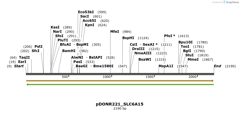 253154_map
