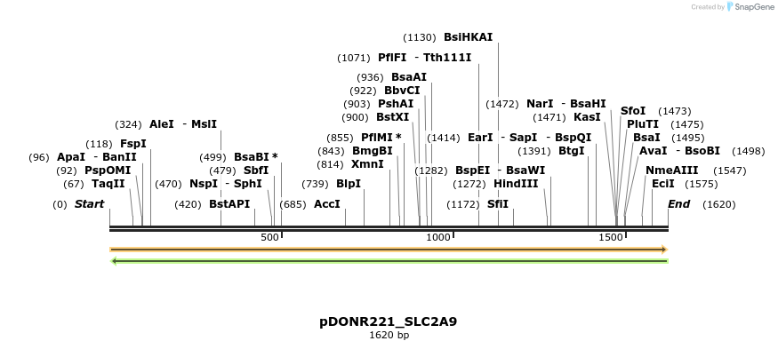 253158_map