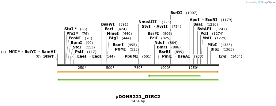 253160_map