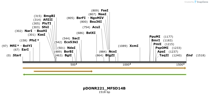 253162_map