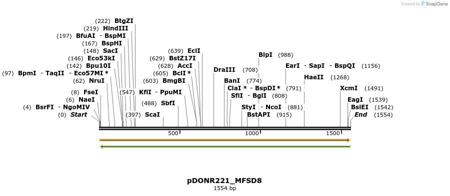 253164_map