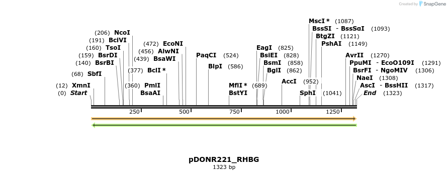 253166_map