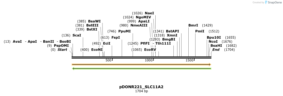253168_map