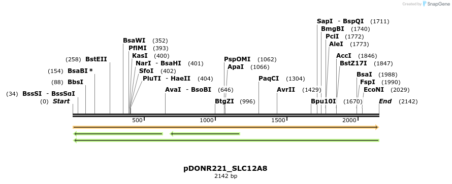 253170_map