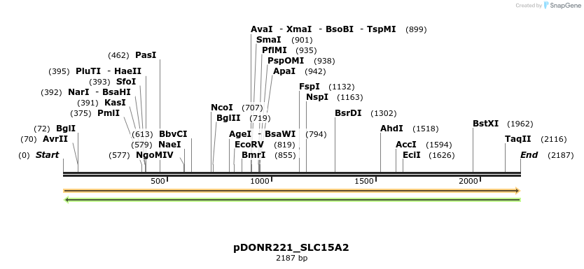 253172_map