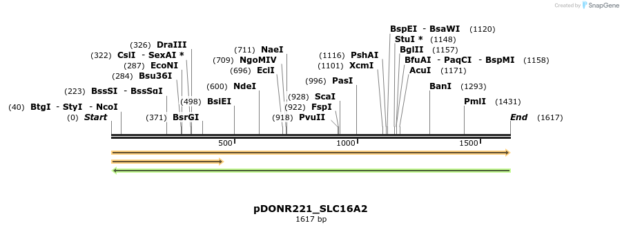 253174_map