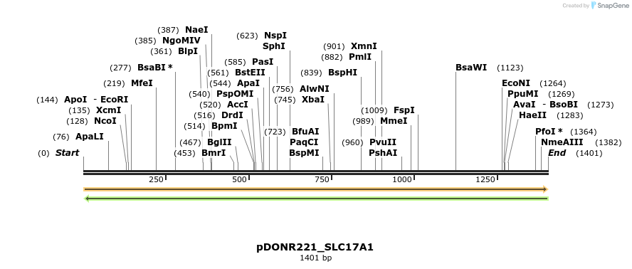 253176_map