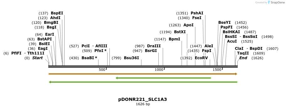 253178_map