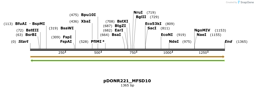 253180_map