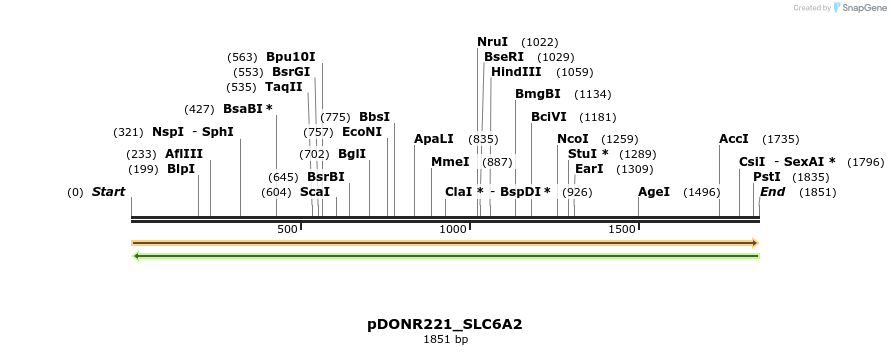 253182_map