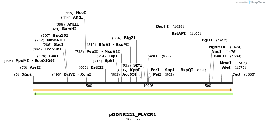 253184_map