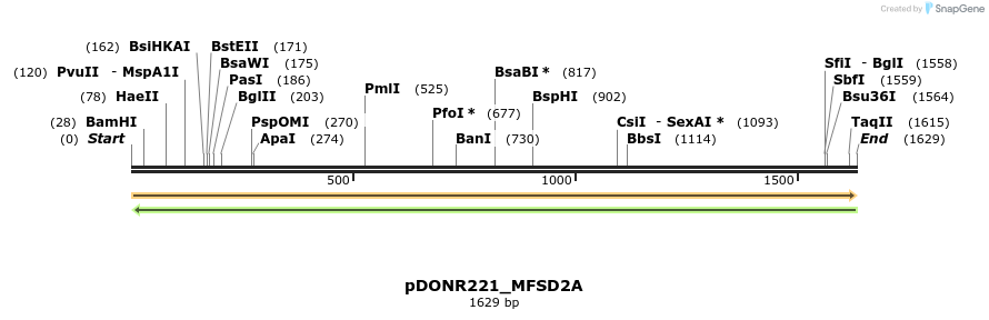 253186_map