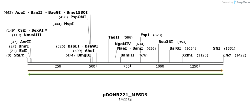 253188_map