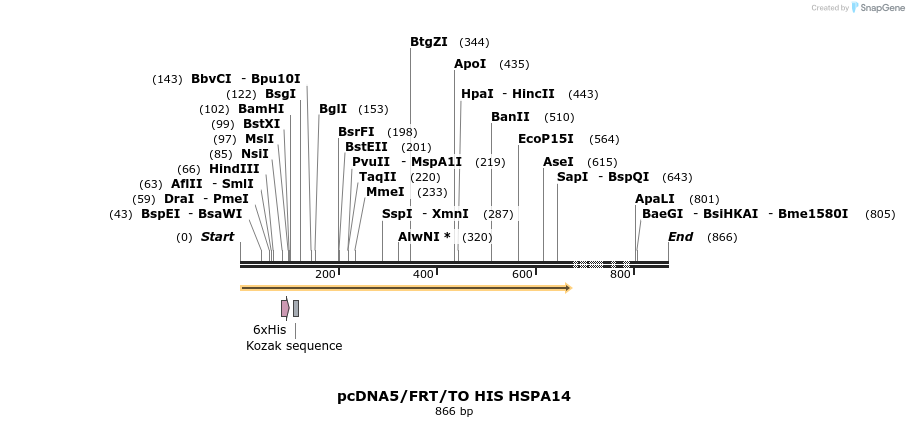 25319_map