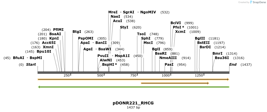 253190_map