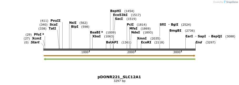 253192_map