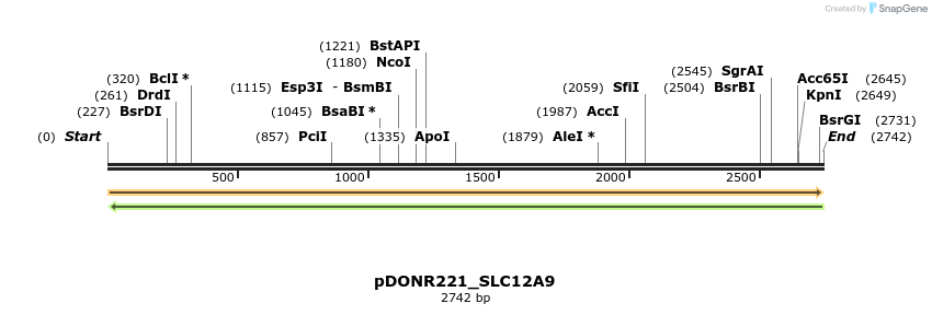 253194_map